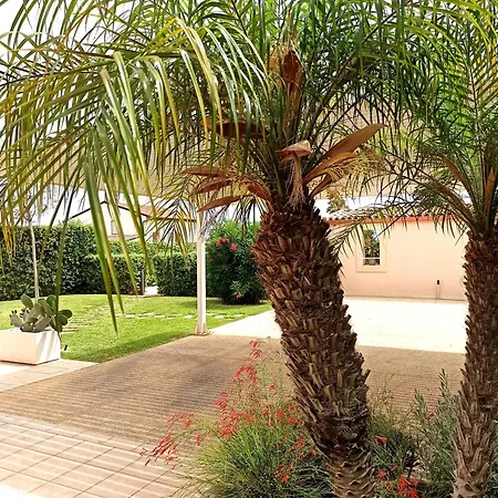 Tedimo Mare