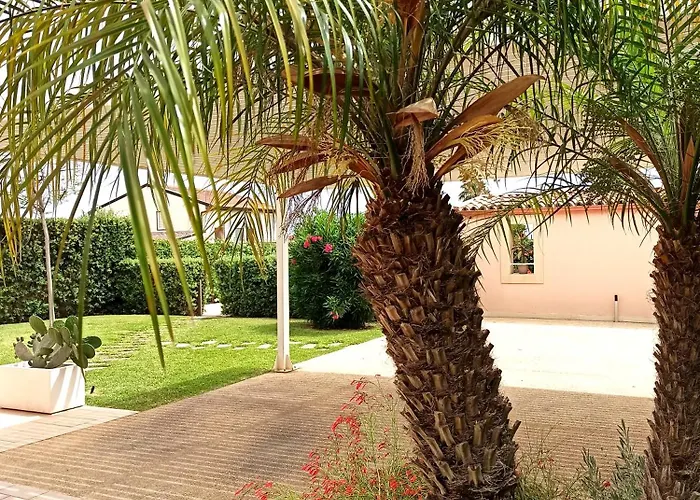Tedimo Mare